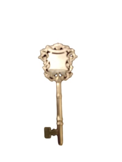 Hallmarked Birmingham 1891. Inscribed " June 1891. Whingate Sunday school. Opened by Tho"s Ritson Esq." In fitted case perfect condition Main photo of key displayed on its own outside of the case.