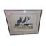 This is a study in Gouache medium by the artist Andy Graystone. This beautiful painting is framed and glazed and ready to hang. The detail and colour on this amazing painting is truly lifelike and a joy to observe. COLLECT FROM STORE ONLY. Main photo of whole picture including the frame.