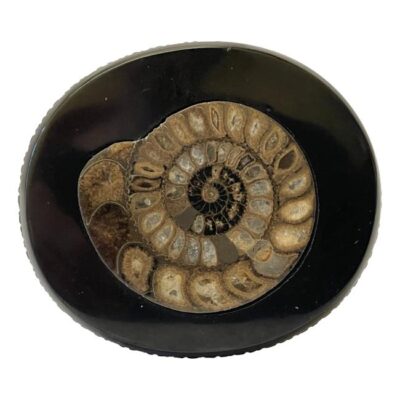 Victorian jet and ammonite table. Antique carved Whitby jet miniature table inlaid with a fine ammonite specimen to the table top. Amazing carved detailing to the jet. The table appears to have had a few repairs during its long life and stands slightly on the skew - this does not detract from the fine quality of this piece. Table top measures 72mm by 62mm, the base measures 50mm by 45mm. Photo looking straight down at the ammonite in the table top.