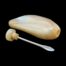 Antique M.O.P snuff bottle. An unusual early 20th century mother-of-pearl snuff bottle carved from one piece of mother-of-pearl. Even the snuff spoon attached to the top are both made of mother-of-pearl. A lovely piece with the contours of the shell providing a natural thumb hold. In excellent condition. Main photo of bottle laid flat on a dark surface and seen with the stopper removed and placed alongside the bottle. The lid with spoon which is attached is laid in the foreground and alongside the bottle. All the photos for this bottle are set with a dark background to accentuate the cream of the bottle.