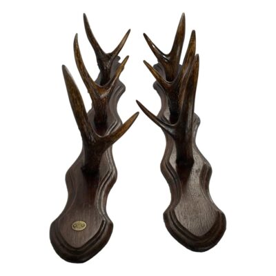 Pair of wall racks by Saint-Étienne. A vintage pair of wall mounting racks with small antler 'hooks' originally used for holding guns. Original brass button for Saint-Étienne armoury manufacturers to the base of one rack. Each rack measures approximately 600mm long with width of wood at 70mm. The small antlers, varying in size, are graduating with largest pair at the bottom with a depth of approximately 120mm. Small split to the wood on one rack at top near screw hole however the backs have metal reinforcement to the top & bottom which double as slot hooks. Photo of racks taken from the lower end up with the largest antlers in the foreground.