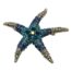 Main photo of the brooch seen forward facing. The tips of the starfish are in clear crystal, mid star arm is in a royal blue followed by turquoise blue crystals. The centre of the starfish has 5 larger royal blue crystals and finished with an iridescent crystal to the centre. The points of the starfish are not uniform so looks very starfish like.