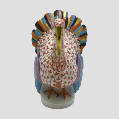 Photo showing turkey looking straight at camera. The tail is fanned out in the background in turquoise blue, gold, rust and black. The wings are down to the side but their colours of turquoise pink and blue are visible.
