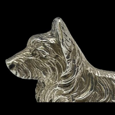 Close up photo of the terriers head.