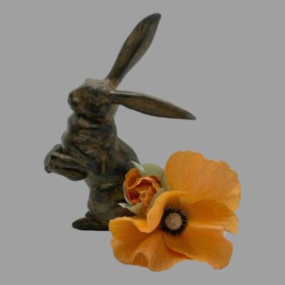 Main photo of hare seen from an eye level. The hare is facing left with the back ear upright to the centre top of photo and ear in foreground lowered and pointing to mid centre right. The hares front paws are together and in the centre left of photo. The is a pale red poppy and bud in front of the hares tail