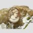 Main photo of brooch displayed resting on top of a rock of natural quartz crystal of a light sand colour and a small spray of white orchids laid across the bottom. The lady is looking right and down with a very contented look on her face. Her curly hair is trussed up in a loose bun with curls cascading down the back of her neck and she is also wearing pearls which sit tightly around her collar bone and a earring is visible in her ear.
