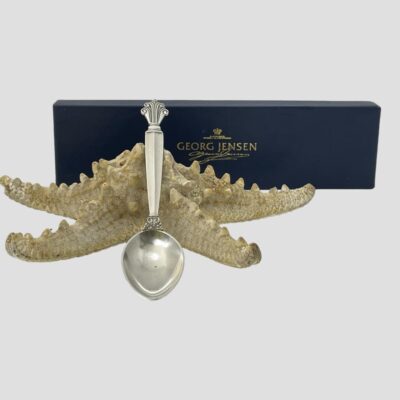 Main photo of spoon displayed outside of its box and shown leaning against a starfish. The bowl of the spoon is on the flat and the handle end is against the starfish. The original blue box with Georg Jensen name on it is shown behind.