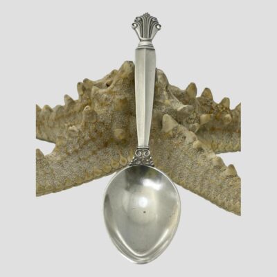 Photo of the spoon in close up still leaning against a starfish as in main photo.