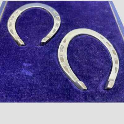 Close up photo of the horseshoes in their fitted slots inside the case.